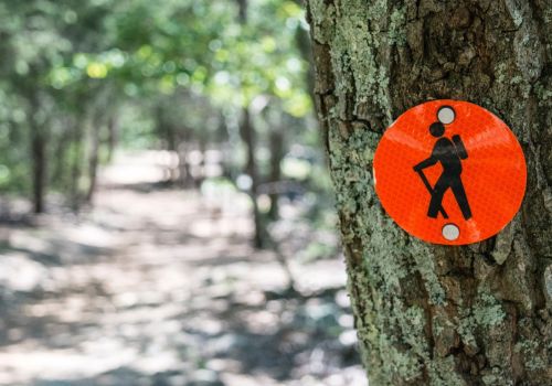 Ökonomischer Faktencheck (Bild: Callistus / unsplash)