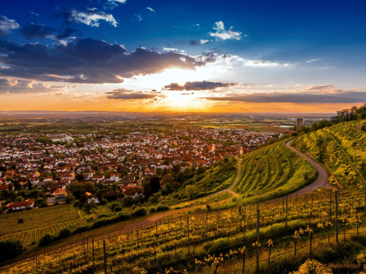 dwif: Strategie der Metropolregion Rhein-Neckar für smarten, nachhaltigen Tourismus verabschiedet (Bild: VRRN)